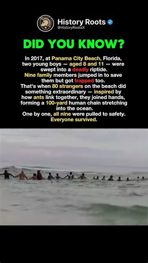 80 Strangers Saved 9 Lives #history #facts