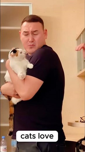 TRUE LOVE:CAT AND HUMAN #cat #funny🤣🤣🐱