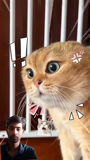 what for end 😲🤣😱 #trending #viral #funny #video #viral #mini #vlog