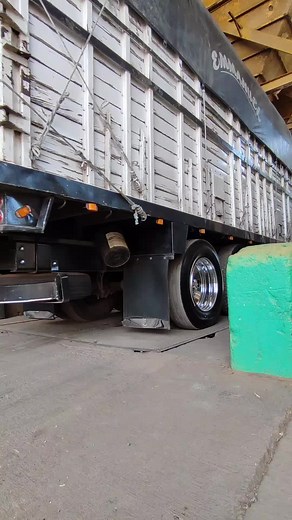 Explore a White Semi-Truck with Unique Features