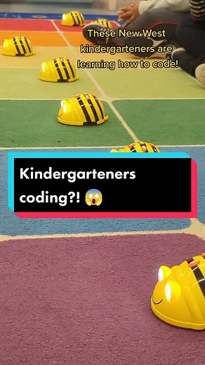 Kindergarteners Learning to Code with Bee-Bots