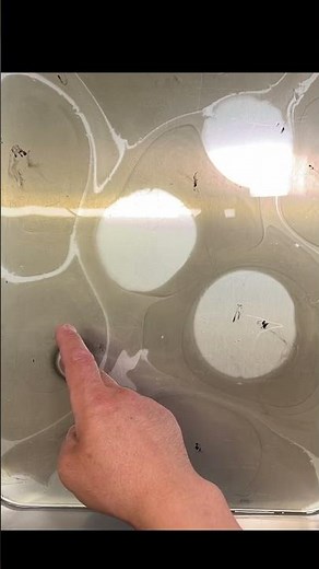 見るだけでわかる墨流しをうちわに転写させる方法 #10【Sumi-e】#artwork #art #水墨画