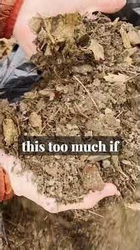 The Easiest DIY Garden Input to Get Started