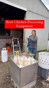 If you’re raising meat birds then you need to have equipment for processing. It will make your process go so much smoother and so much more efficient. But you don’t have to purchase it! A lot of places have options to rent it. Check a local co-op, 4H clubs, farm/poultry pages on facebook. After years of renting equipment, we invested in our own because we were in the process for the long haul and it has been so much better having our own versus renting. So if you’re in it we definitely recommend