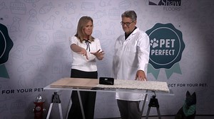 11 reactions | ✨ Dive in and see how Shaw Floors takes carpet to the next level, showing Designing Spaces how it provides a quieter, more relaxing home environment compared to traditional hard surfaces.  ‍ Watch as we demo the sound test and reveal why carpet is the perfect choice for creating a peaceful, cozy space.  Watch now at designingspaces.tv #DesigningSpaces #ShawFloors #CarpetComfort #HomeMakeover | Designing Spaces | Facebook