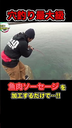 I caught a fish using fish sausage! #shorts #fishing #fishing #hole fishing #discovered a sacred ...