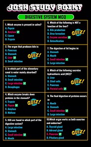 38K views · 306 reactions | : ➡️喙 Digestive System MCQs – turn food into full marks!  From enzymes to intestines, every question digests your doubts and boosts exam power ⚡ Quick, smart, and perfect for last-minute biology revision 易 #DigestiveSystem #BiologyMCQs #HumanPhysiology #ExamReady #BiologyNotes | Josh Study point | Facebook
