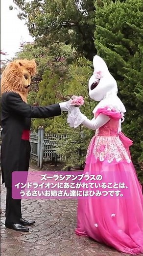 弦うさぎ 第２バイオリン エイミー【ズーラシアンブラスと仲間たち紹介動画③】