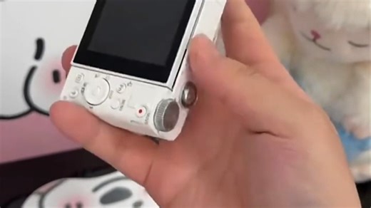 索尼（SONY）DSC-WX500长焦数码照相机