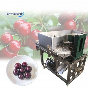 [Hot Item] Date Kernel Seed Cores Removing Machine Dates Pitter Pitting Machine