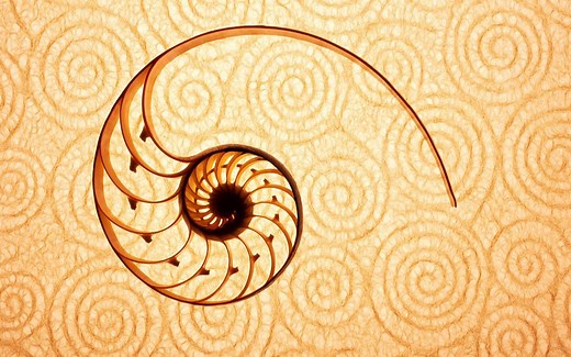 Python人工智能入门（16）：实战之实现斐波那契数列【BAT算法工程师主讲，Python编程快速上手】