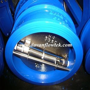 [Hot Item] Ggg50 Resilient Seat DIN Standard Wafer Dual Plate Lined Water Valve Wafer Check Valve