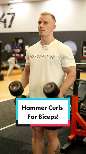 3 Hammer Curl Variations for Bigger Arms