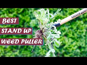 5 Best Stand Up Weed Pullers | Top Best Stand-Up Weeders