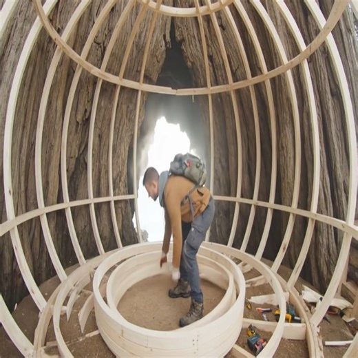 Unbelievable – A Man Builds a Modern Treehouse Alone on a Deserted Island (Survival ASMR) | Brandy Conley