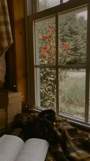 Cozy Sunday mood 📖🧸✨ . . . #rusticpages #myseasonalstory #aseasonalshift #slowandsimpledays #daysofsmallthings #theslowdowncollective #ofquietmoments #booktok #aquietstyle #slowliving #slowlived #simplethingsmadebeautiful #windowview #cottagecore #cottagelife #cozyaesthetic #cozyhome #cozyvibes #hyggelife #warmandcozy #mountainhome #cozyandcomfy #cozyliving #cozycorner #readingnook #bookworm #booklover #bookstagram #bookphotography | Rustic Pages