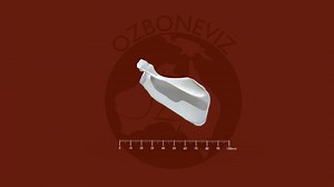 Koala scapula - 3D model by Ozboneviz
