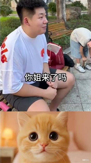 Funny Human Fails Compilation Hilarious Animals Getting Into Trouble Must See Moments! #179