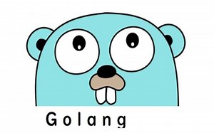 【千锋】GO语言入门全套教程，看过最详细的视频