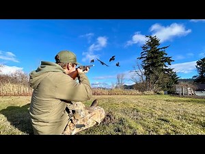 Backyard Crow Hunting with a Lever Action Shotgun!