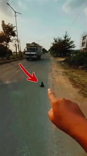 I Found My Son's Lost Toy ✨🚘 After 10 Days You Won't Believe Where 😱