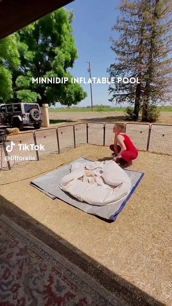 Watch to the end if you wanna see me thoroughly misjudge physics/gravity. 😅💦🤦🏼‍♀️ ANYHOO this is the 3rd year in a row we’re pulling out a @minnidip for the hot weather. We’re obsessed! (Not sponsored btw!) We swear by this thing. It’s big enough for the whole fam, but rolls up super small so we can easily slide it into one of our lower bays for storage. It’s SO good to have one of these on board because it gives us an outdoor option when it’s just way too warm to relax comfortably! Love lov