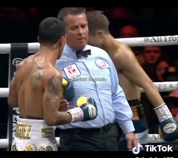 Naoya Inoue: Perfect Boxing Highlights to Watch