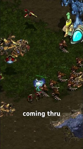 Sending lots of Zerglings and Hydralisks #starcraft #battle #broodwar #zerg #hydralisk #warzone