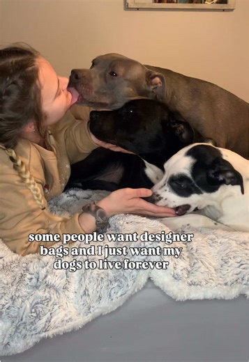 we are not the same🥺 #dogs #doglover #dogsoftiktok #pitbull #cutedog