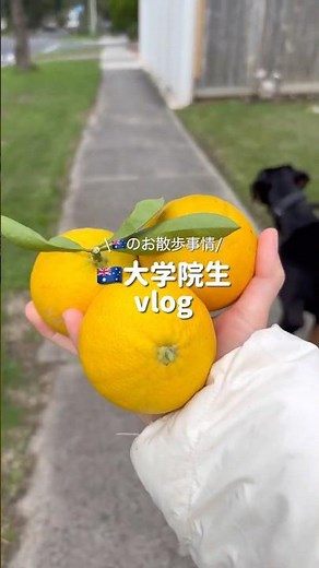 \\🇦🇺のお散歩事情/ 🇦🇺大学院生vlog #オーストラリア留学 #vlog #英会話海外留学 #ワーホリ #海外大学院 #メルボルン生活 #メルボルン #オーストラリア生活 #shorts
