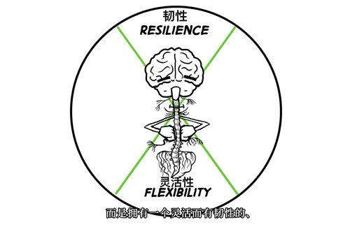 心理创伤与神经系统——从多重迷走神经视角看待创伤的影响【韧芽授权翻译+汉化】