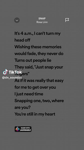 Snap Song Full Lyrics - Rosa Linn