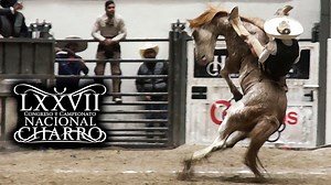 295K views · 7.1K reactions | JINETEO DE YEGUA del dia 20 de noviembre en la ronda de Semifinal LXXVII Congreso y Campeonato Charro Dr. Juan Jose de Alba Martin celebrado en la hermosa Ciudad de Aguascalientes, Ags del 5 al 21 de noviembre del 2021 #jineteodeyegua #jinetesvsyeguas #charreria #yeguachamuca #CampeonatoNacionalCharro2021 #charreria #hebillasJA #charros #caballos #mexico #deportemexicano | 9 Suertes | Facebook
