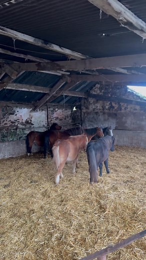 141K views · 1.1K reactions | Can you help | Gareth Wyn Jones | Facebook