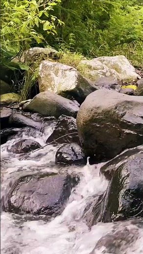 Beautiful Mountain River Flowing Sound. Forest River, Relaxing Nature Sounds/ Sleep/ Relax 10 hours.