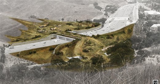 101 Annenberg Wildlife Crossing