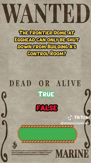 onequizzipiece on TikTok