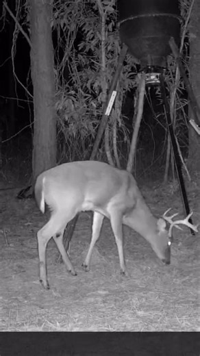 Instagram video by Randy Cook • Feb 11, 2026 at 4:38 PM