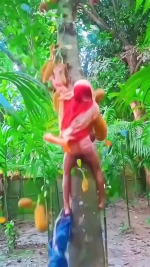 Boom funny on Instagram: "funny moments comedy clips😆😆 #funny #comedy #shorts #funnyclips"