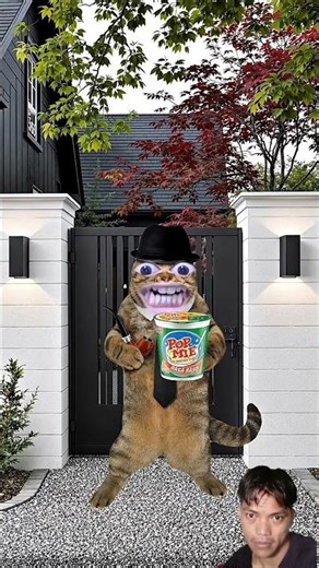 mau pop mie#cat#funny#shorts