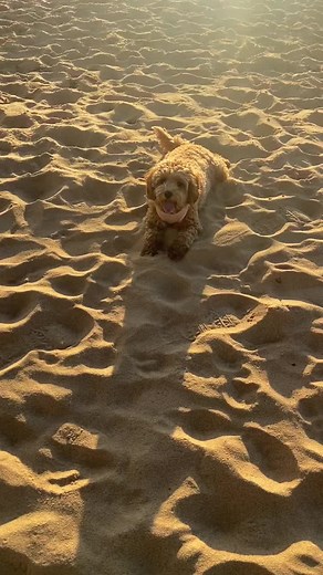 Ruby Koko Cucumber (@ruby.koko.cucumber)’s videos with Pretty (Sped Up) - MEYY