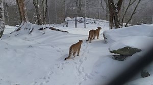 13K views · 904 reactions | Happy New Year's Eve from your friends at...