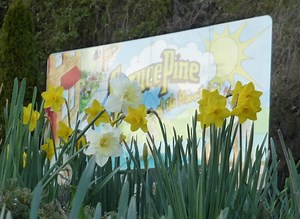 About Our Town — Downtown Spruce Pine NC