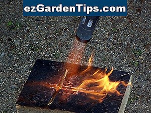 Wie man den Ninebark Diablo Strauch beschneidet 🌱 Tipps Gärtner - De.ezGardenTips.com
