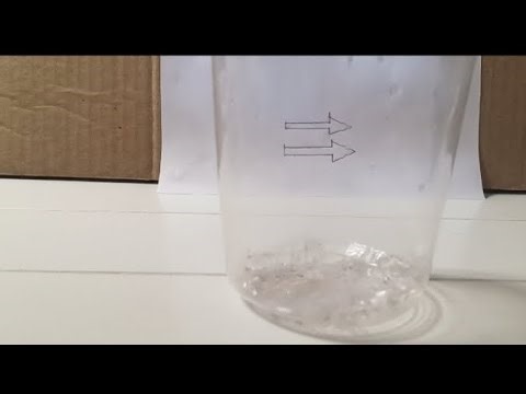 Amazing Water Glass Science Experiment science tricks