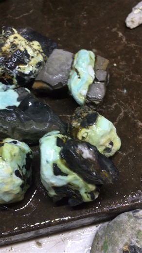 $40 gecko 🦎Variscite set | Josh Ruppert