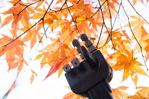 UC Berkeley researchers teach computers to be curious