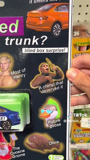 Mysterious Toy Unboxing: What Died in the Trunk?