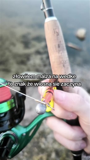 #ryby #wedkowanie #wiosna