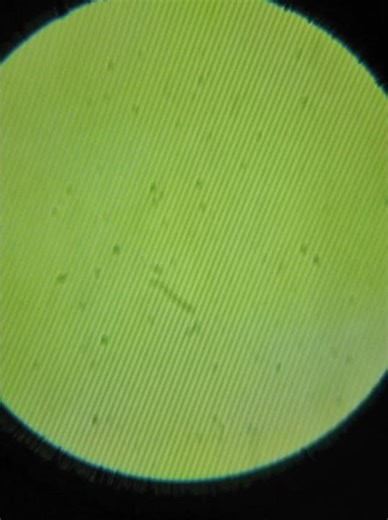 CD-R Under Microscope